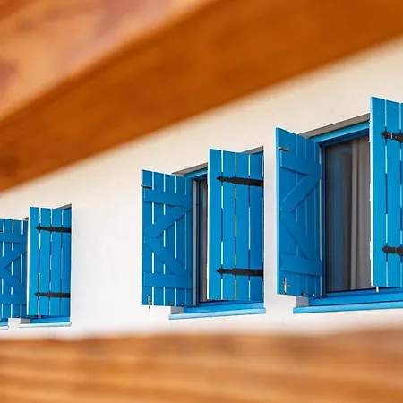 Гостевой дом Pensiunea Terrablue